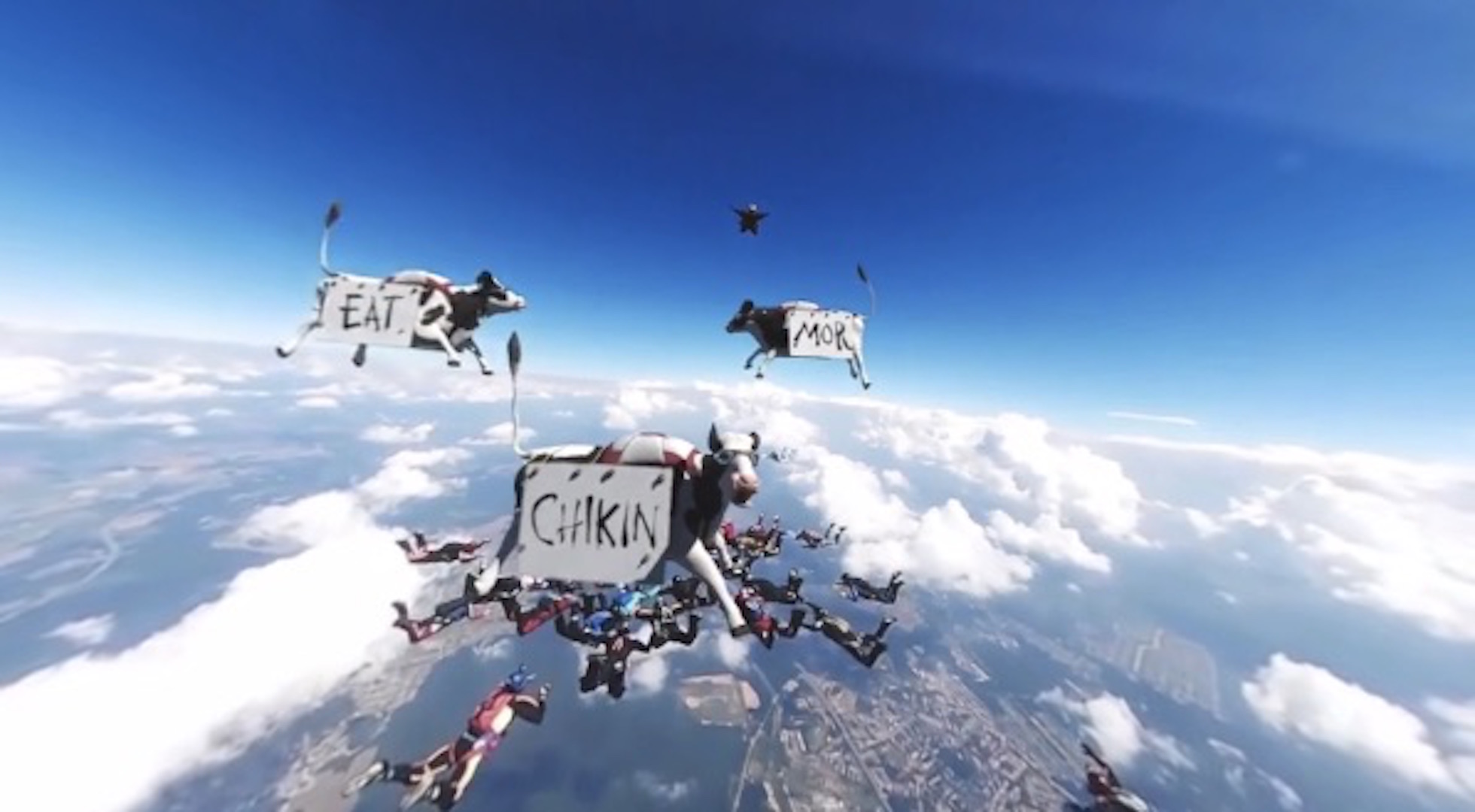 cows falling through the sky skydiving