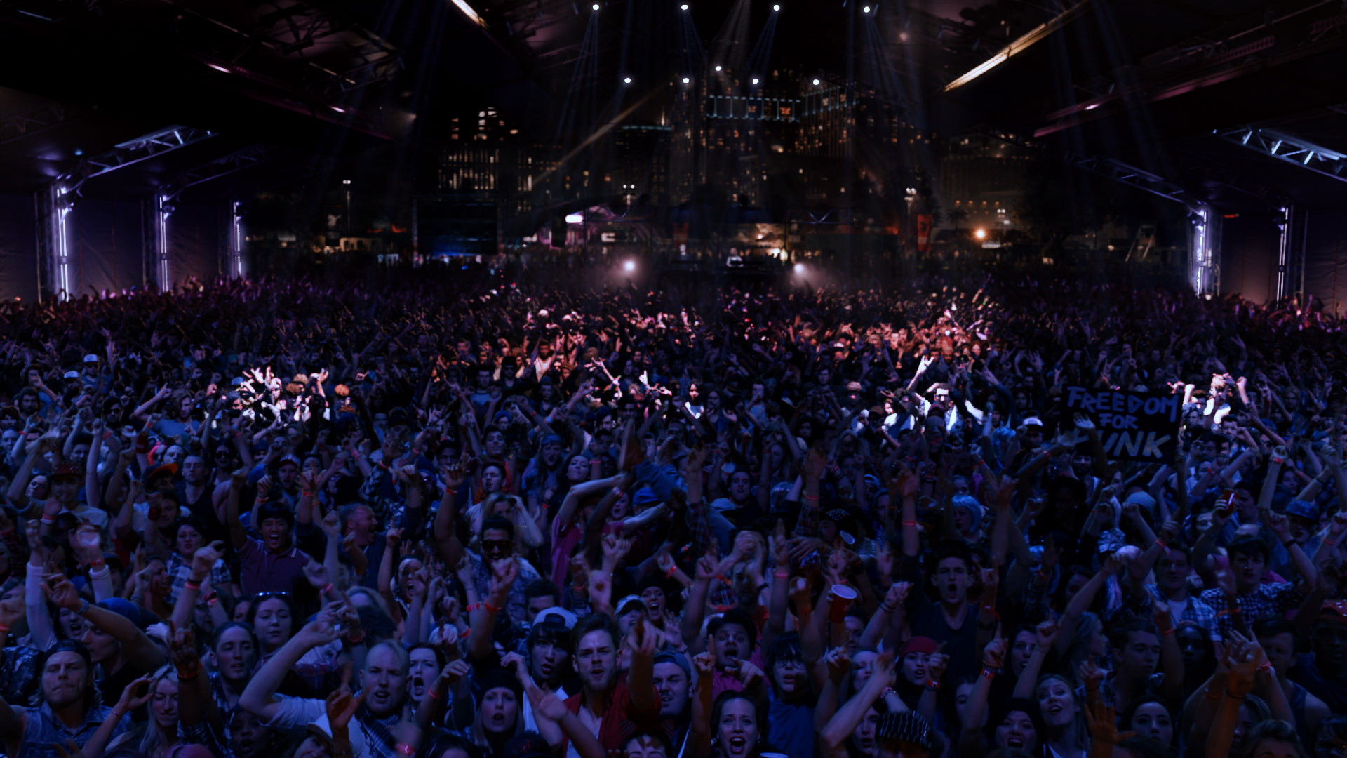 aerial shot of a concert crowd