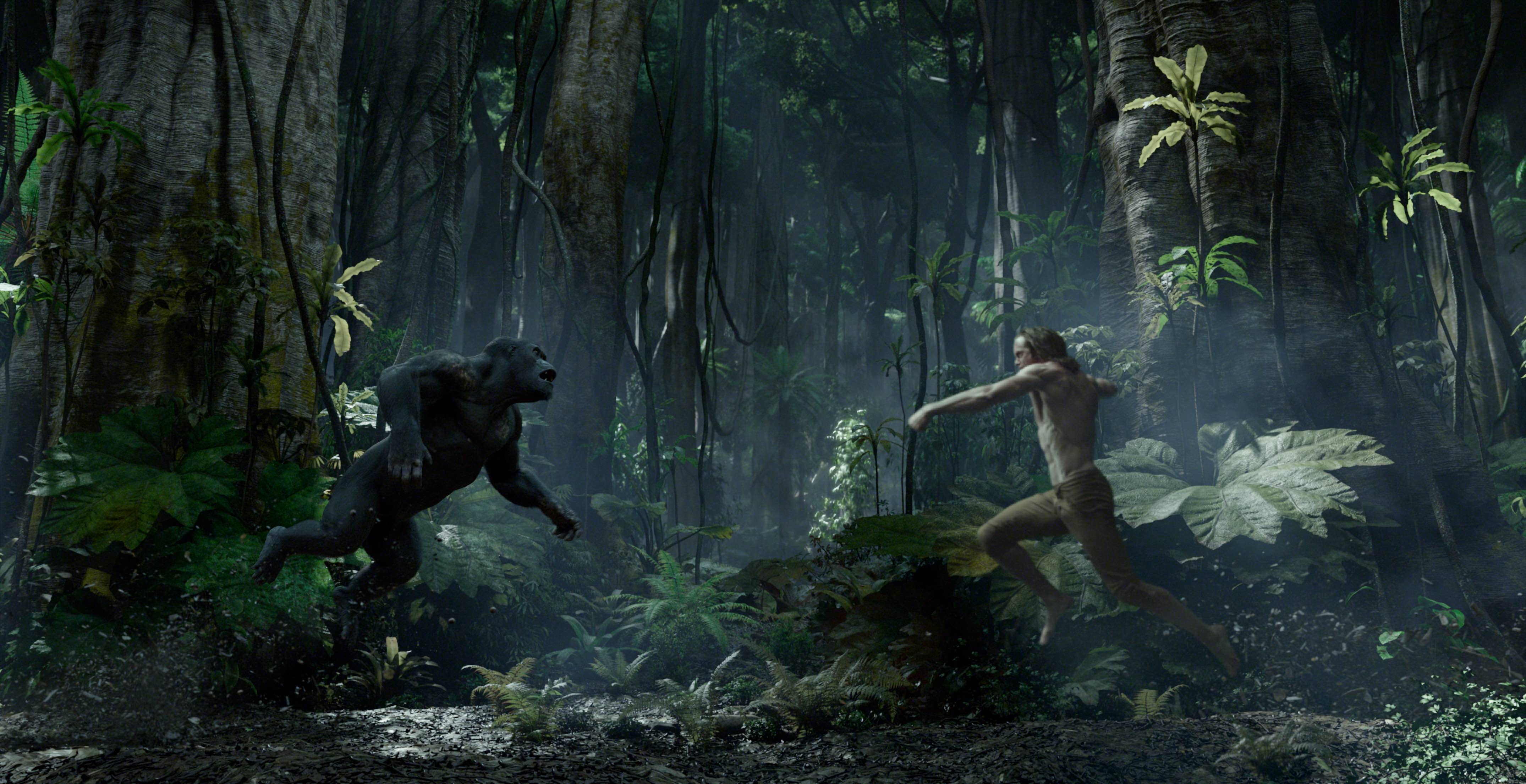tarzan and an ape charging towards each other in a jungle