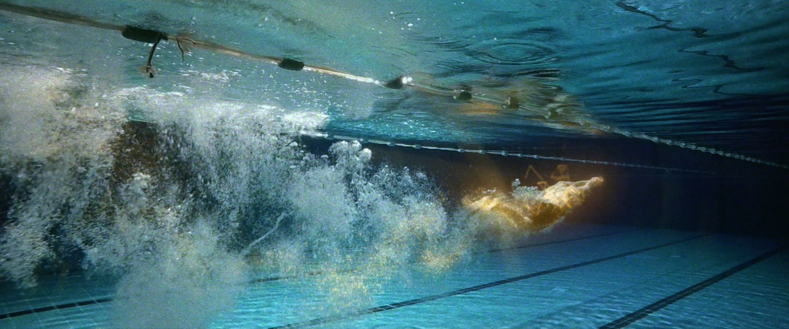 a highlighted swimmer diving into a swimming pool
