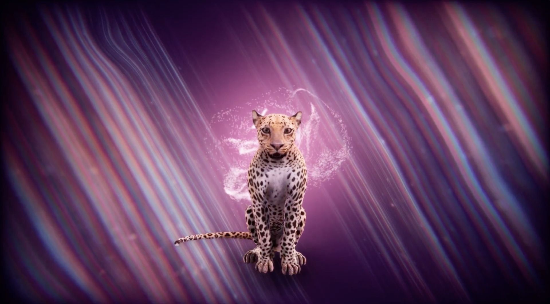 A digital leopard against a pink and purple background