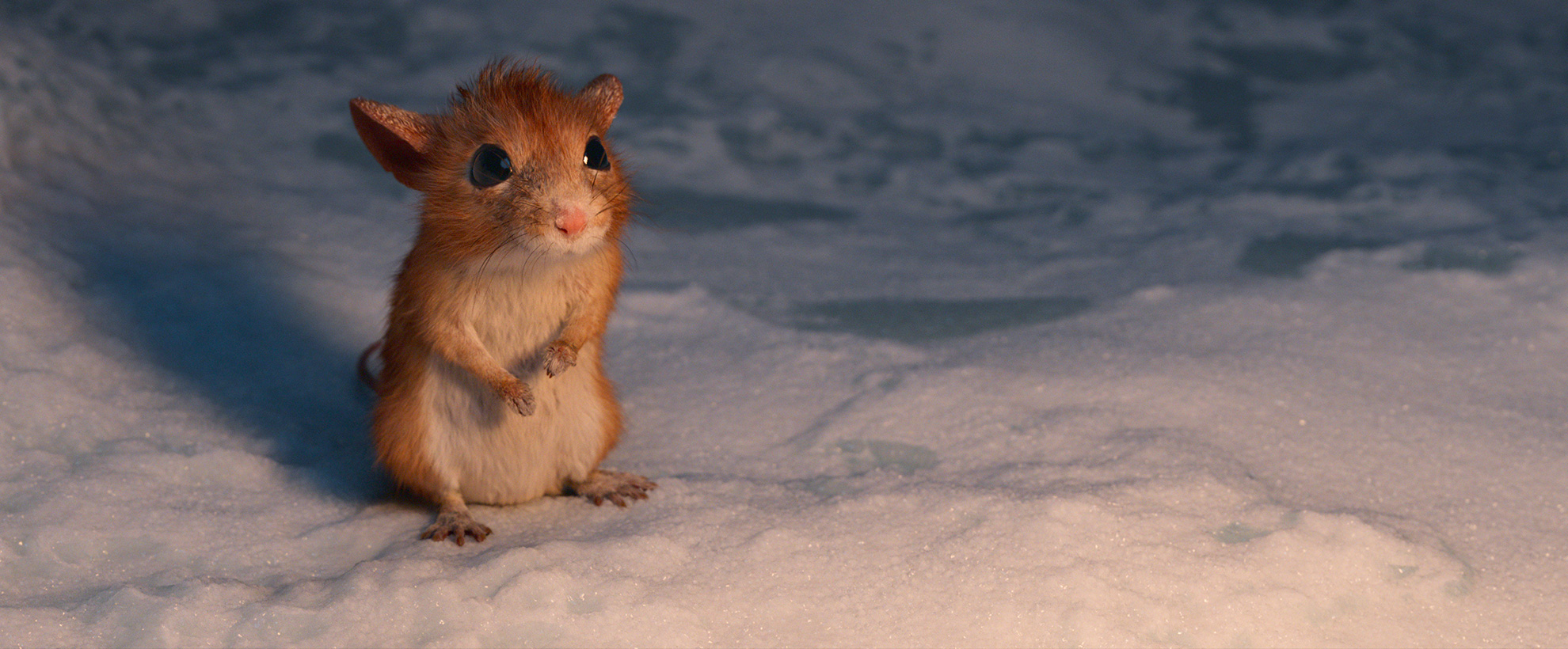 a small mouse sits on snow 