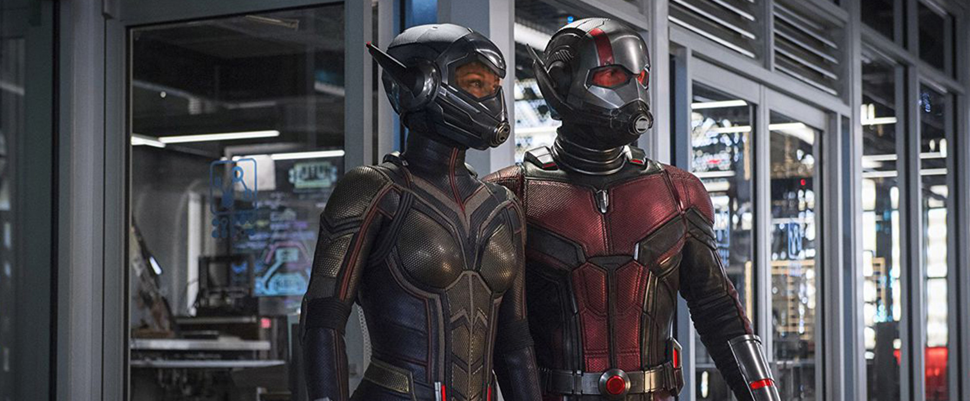 Ant Man and the Wasp