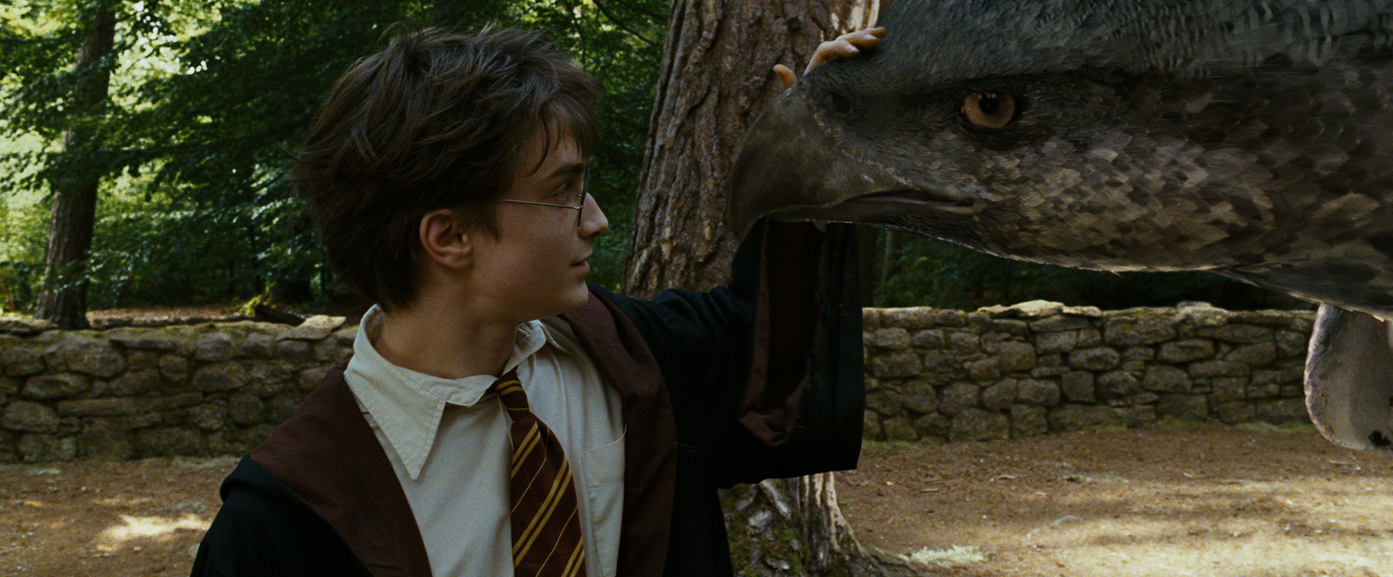 Harry Potter strokes the beak of a Hippogriff