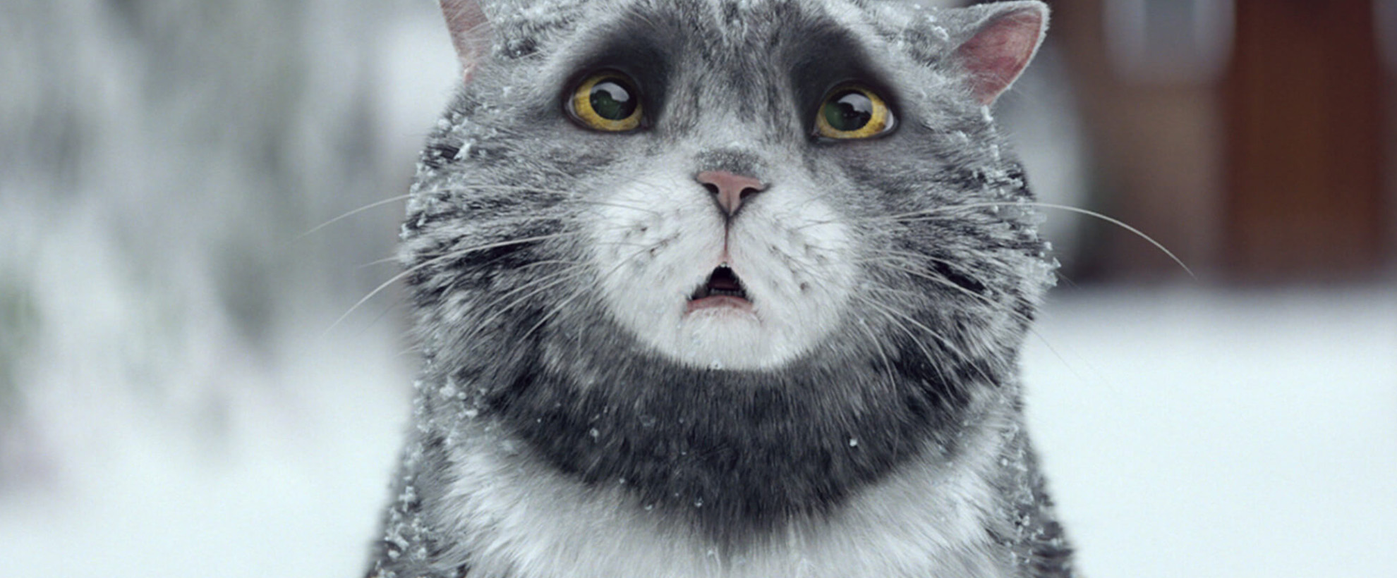 An animated grey cat looks worried 