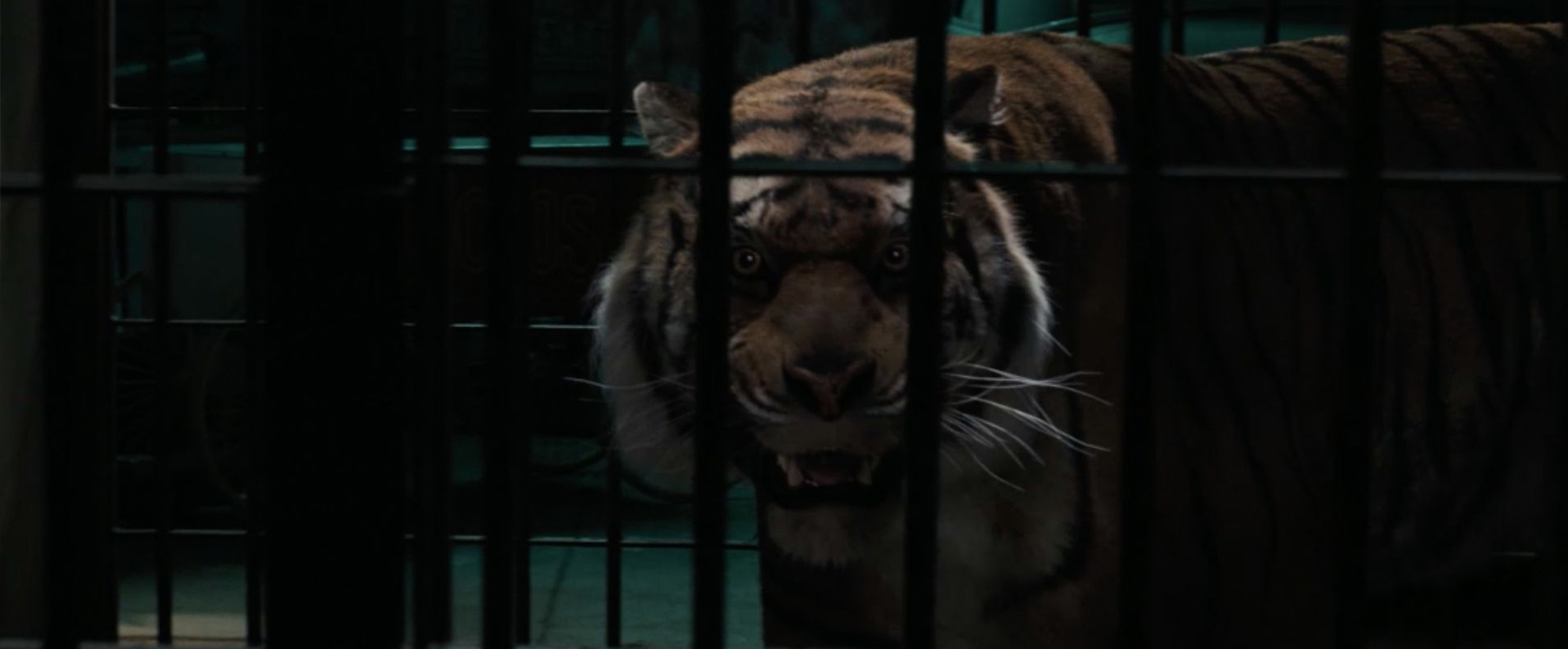 A CG tiger snarls behind bars