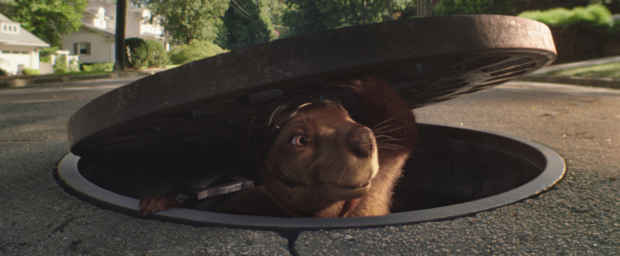 An animated beaver peeks out from underneath a manhole over on a suburban road