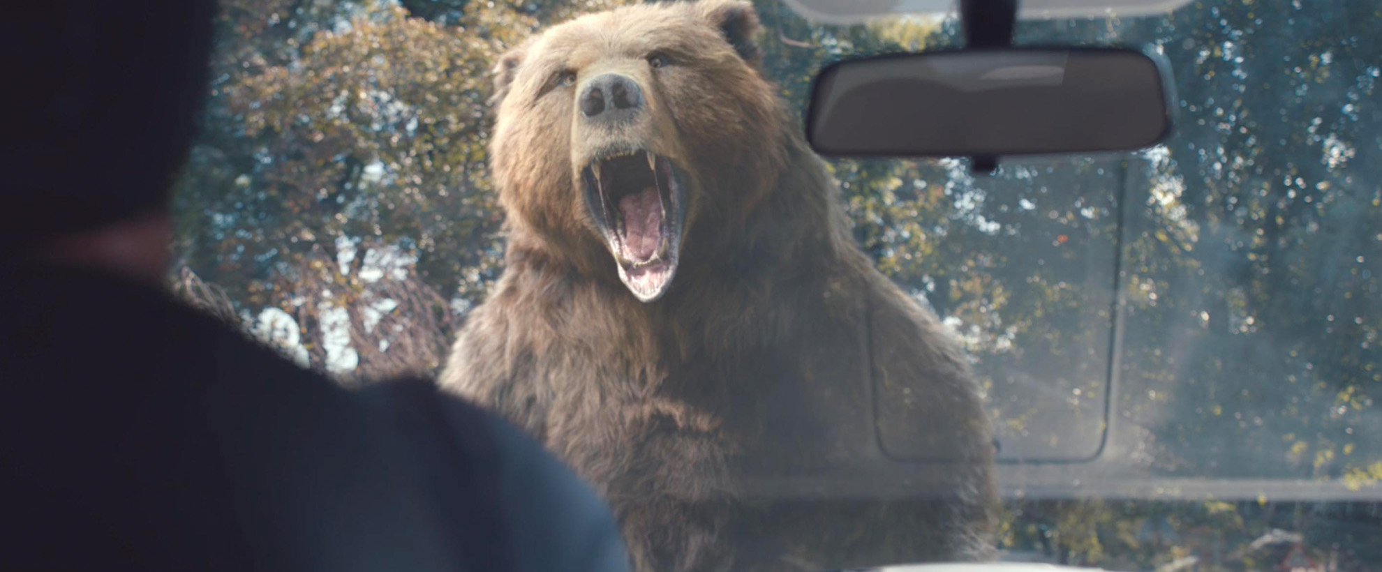 An angry bear stands on its hindlegs and roars at a person in a car