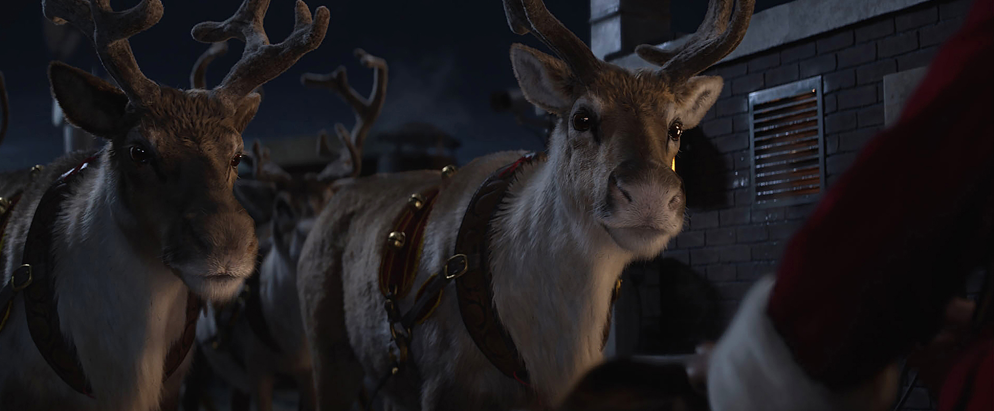 Two reindeer in the snowy nighttime