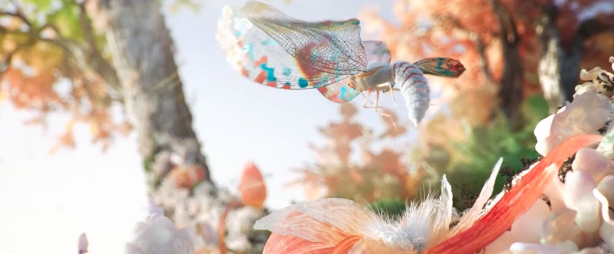 Butterfly flying over flowers