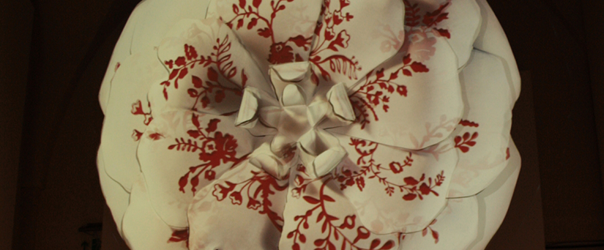 White and red rose