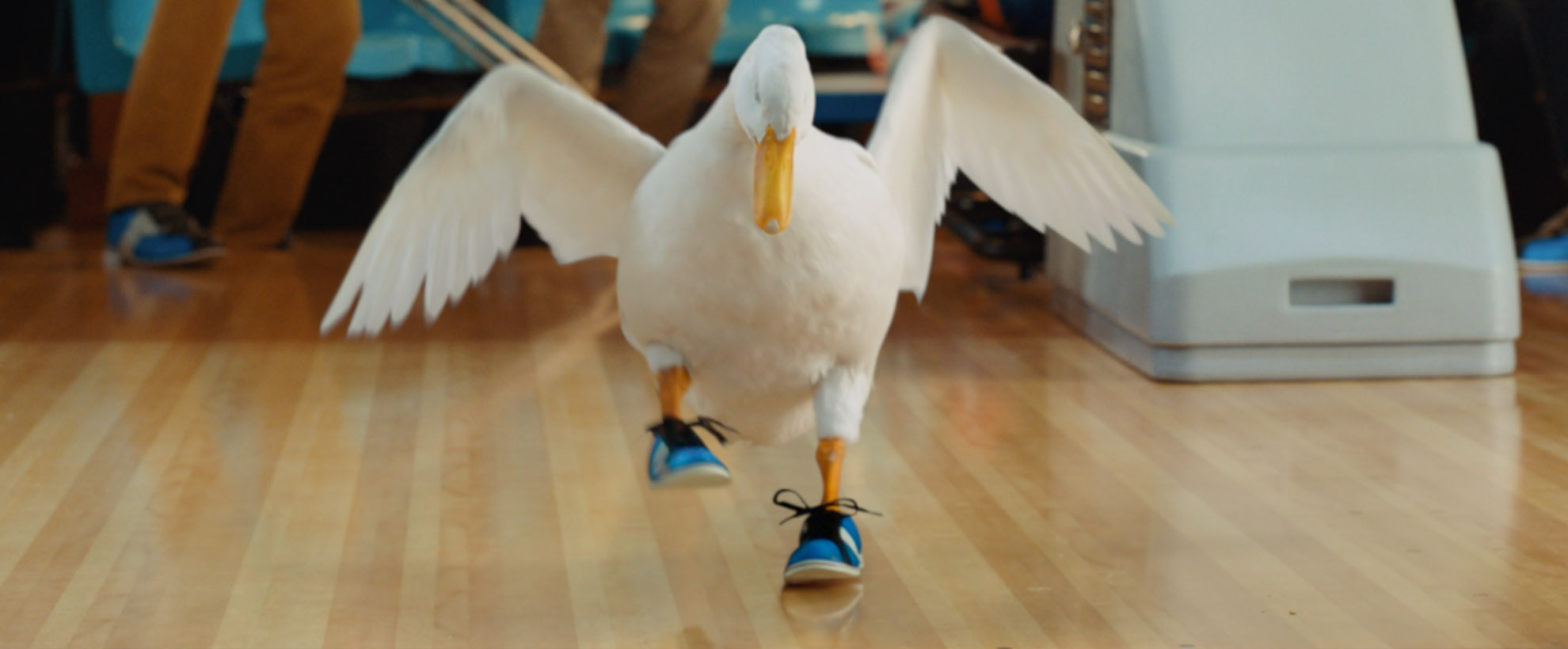 A duck at a bowling alley wearing bowling shoes