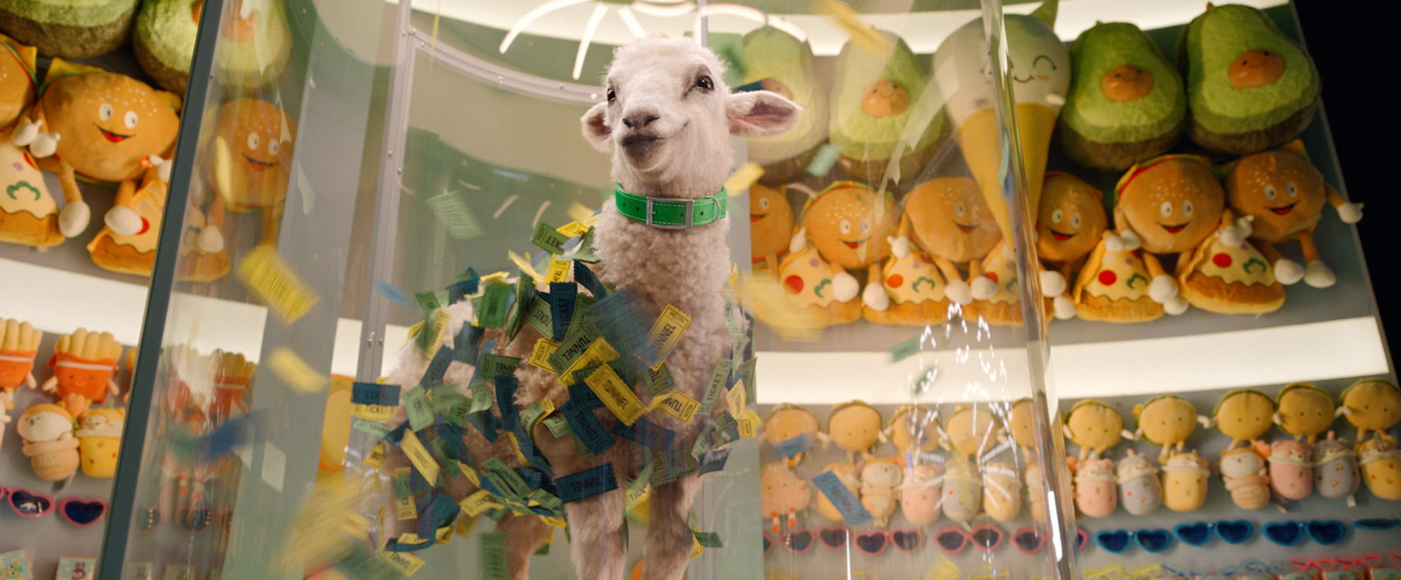 A sheep stands in a ticket tornado game at a fair, with carnival tickets stuck all over its wool