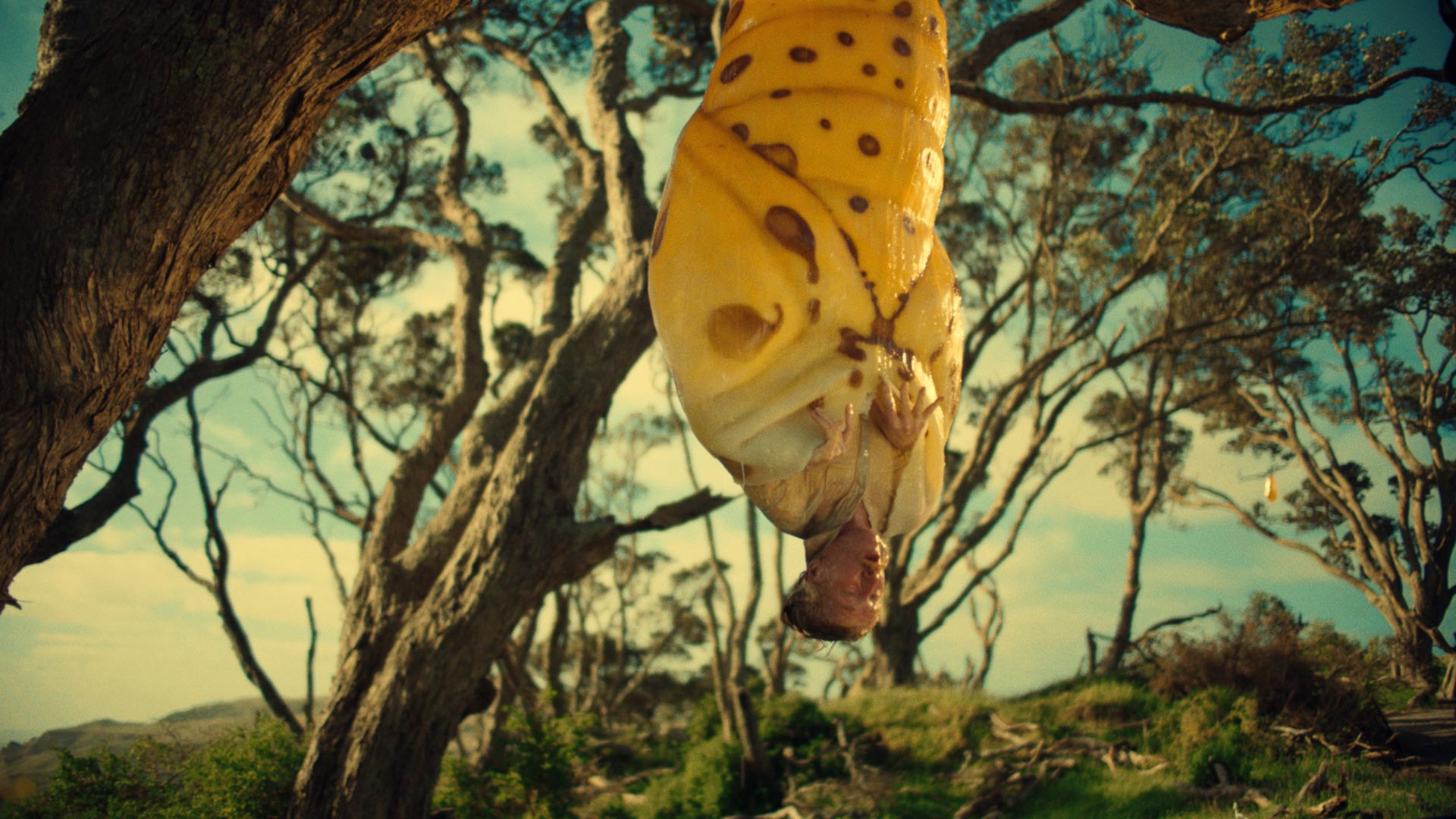 A man hangs upside down in a large chrysalis in a Hornbach advert