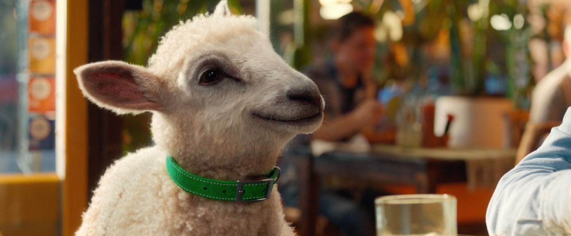Cox Mobile's CG animated sheep named Annie sits at a bar with her human friend and video calls a friend