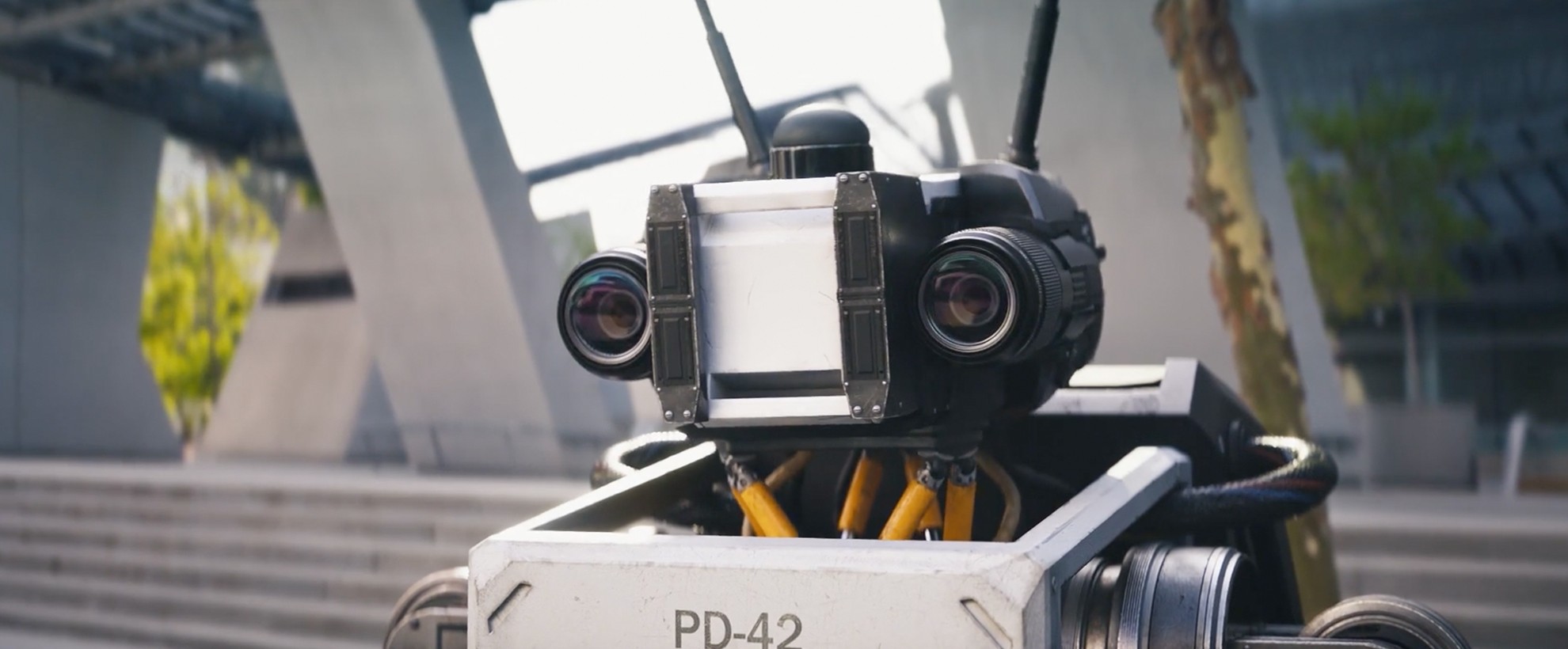 The face of a robot