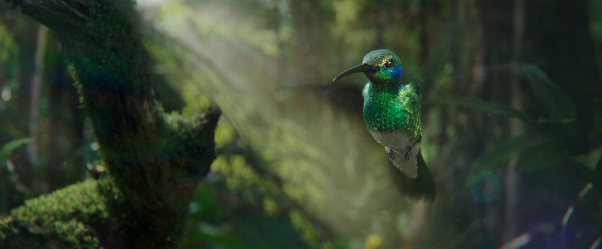 A CGI animated realistic hummingbird hovers mid-air, its wings blurred from the speed, in a digitally created forest environment