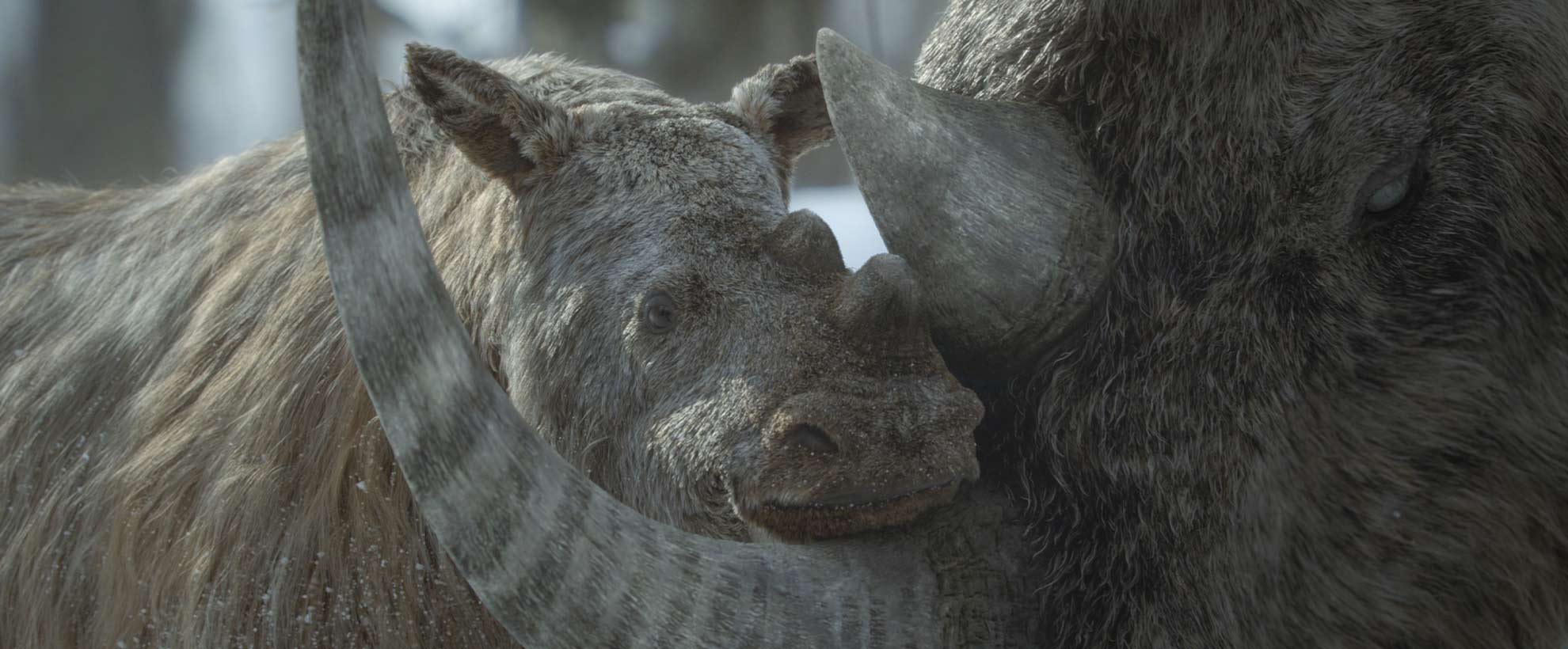 A young woolly mammoth, entirely CG animated, nestles into the tusk of its mother