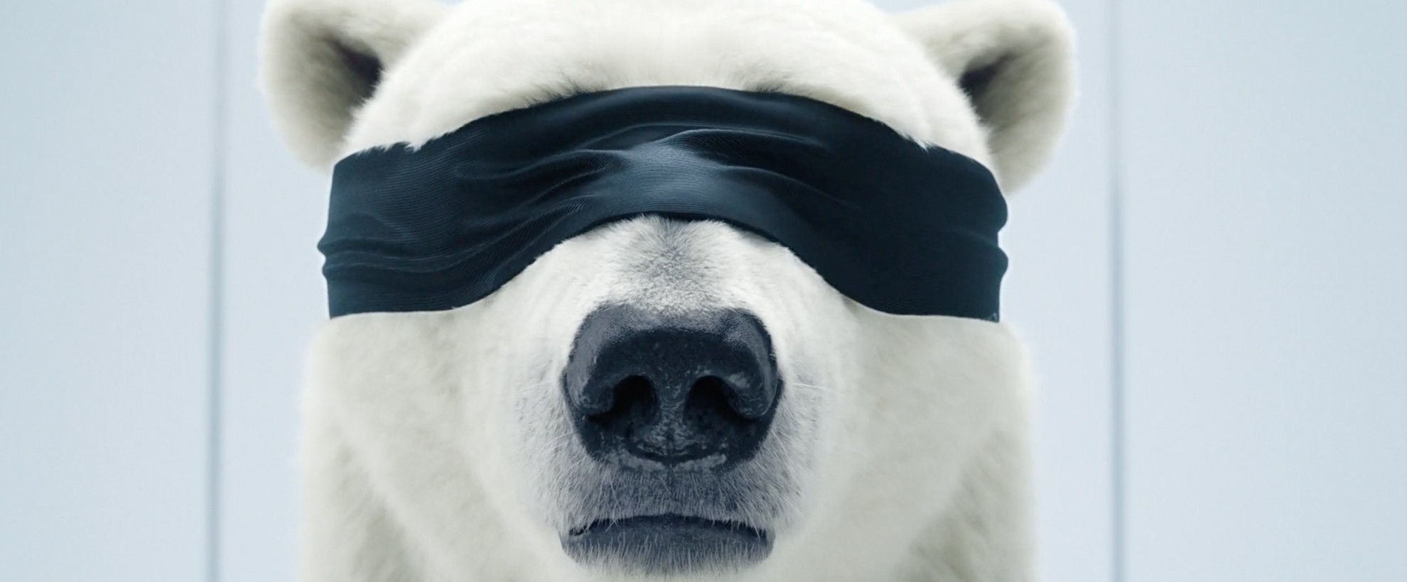 A CG animated polar bear wears a blind fold