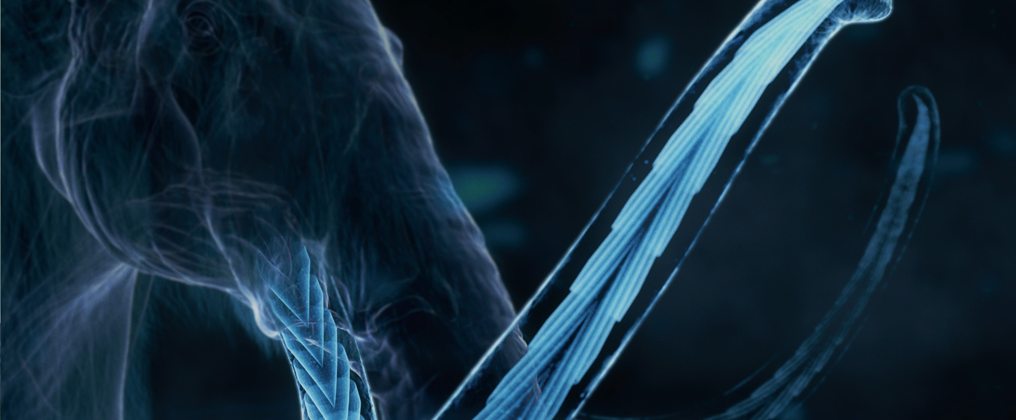 Prehistoric_Planet_graphics_sequences