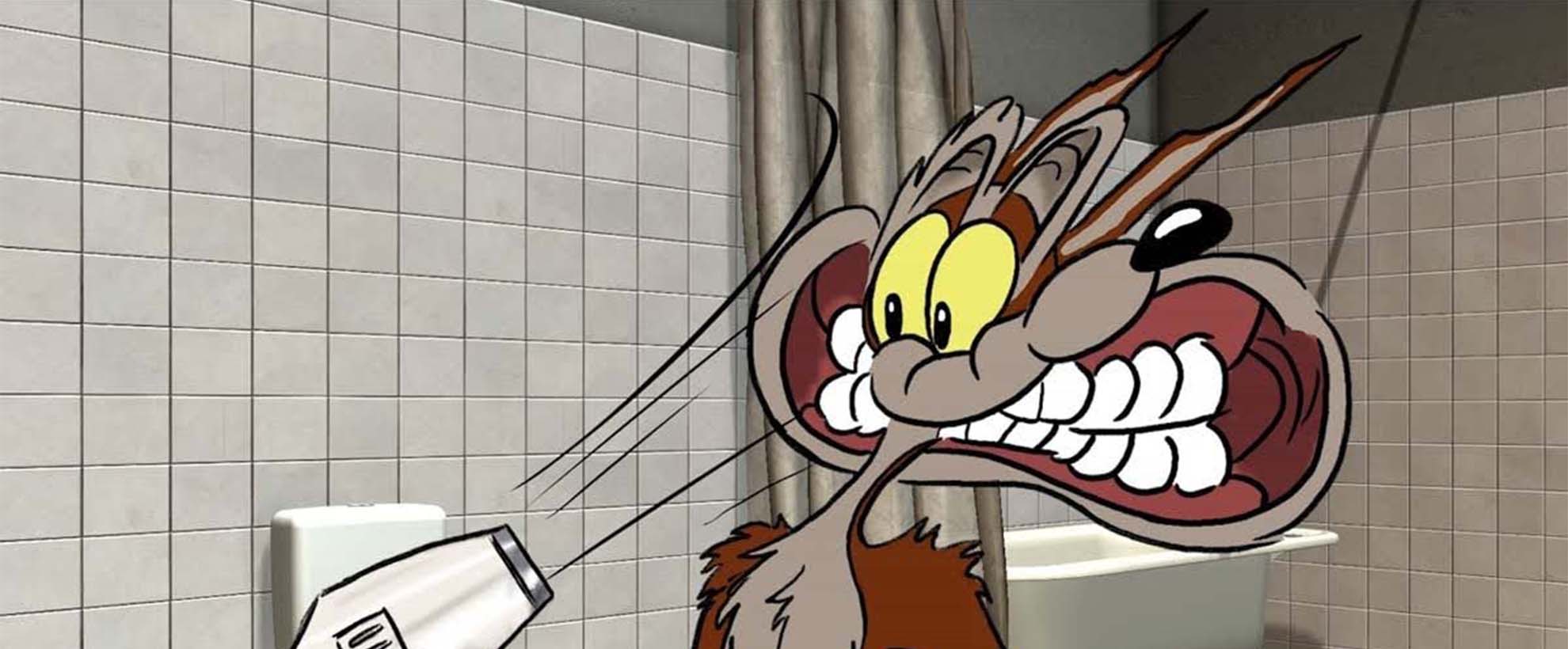 Coyote vs. Acme