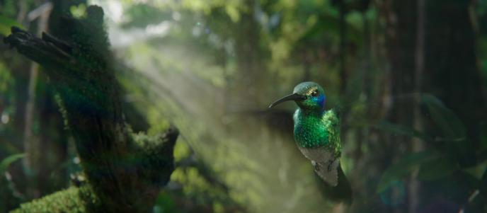 close up of a photoreal animated hummingbird flying mid air in a forest