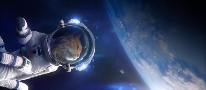 A cat in outer space