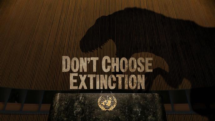 dont choose extinction text over an animated t-rex dinosaur shadow