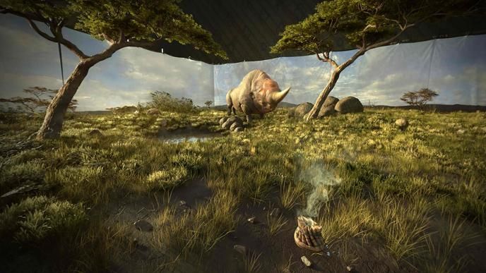 erumpent creature from fantastic beasts and where to find them in a field that is surrounded by white sheets that reflect clouds