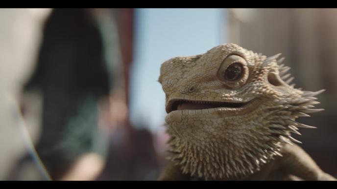 close up shot of jeff the pet bearded dragon's face with his mouth ajar