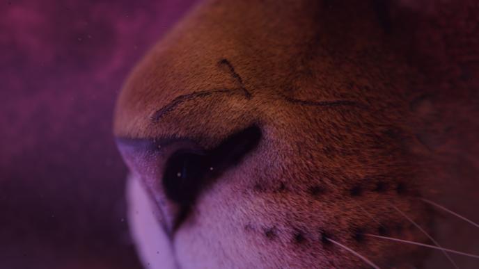 close up shot of an animated lion nose