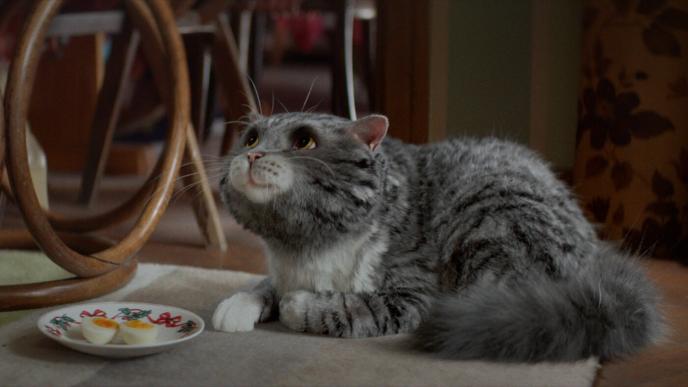 front view of cg animated character mog the cat sitting down and looking up. there is a boiled egg cut in half on a plate next to it
