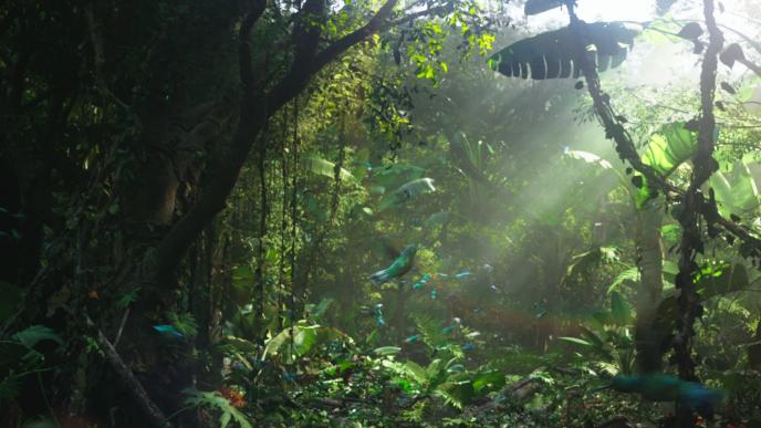 a cg animated hummingbird flying amidst a forest surrounded by flickering iridescent feathers