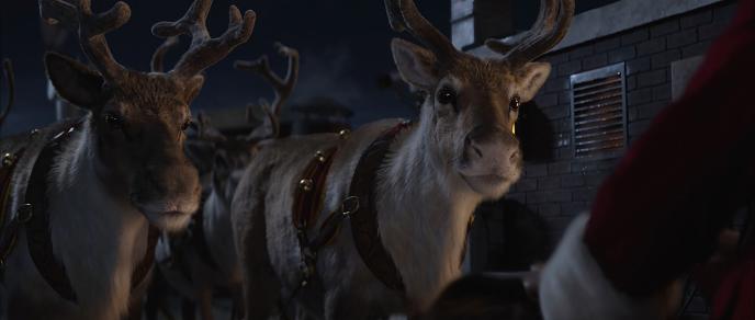 two animated reindeers