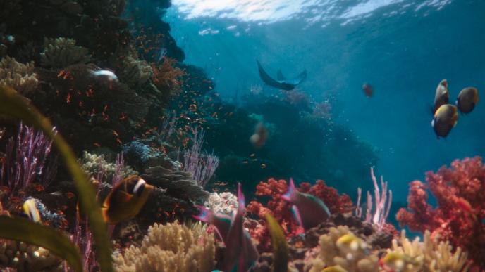a vibrant reef with fish and a stingray swimming