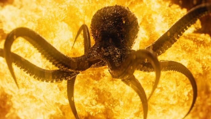 animated octopus engulfed in flames