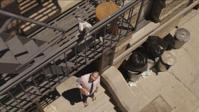 aerial perspective of a person looking up at a pigeon that is perched on iron cladding