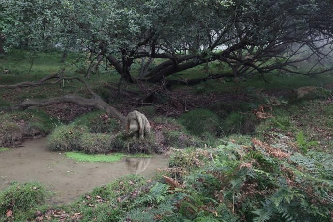 eeyore sitting by a muddy pond in a forest