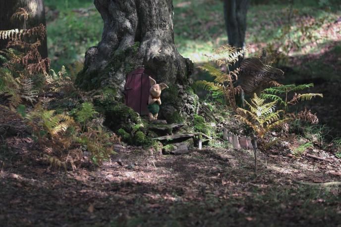 piglet standing outside of its tiny tree house in a forest