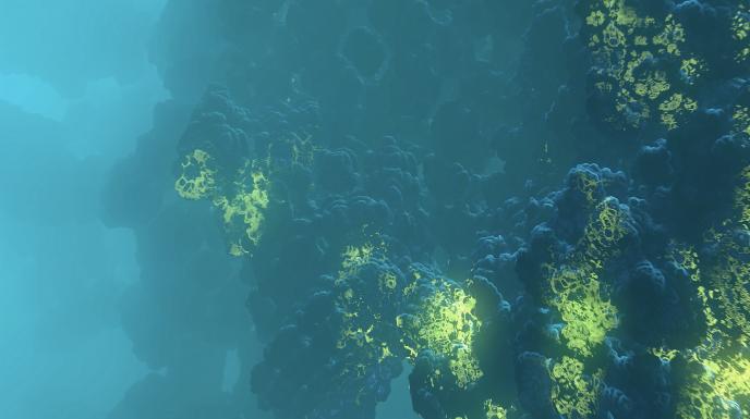 animated highlighted coral