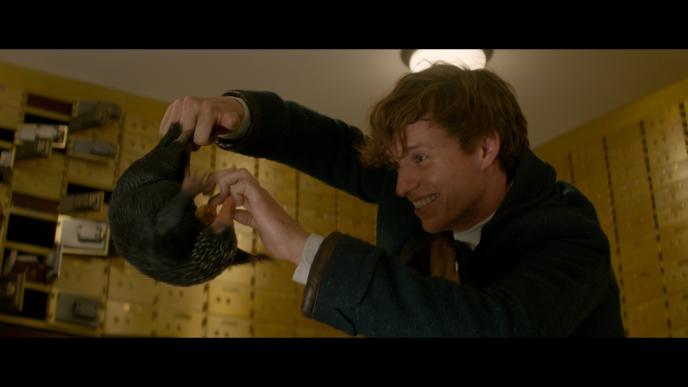 actor reddie redmayne as character newt scamander holding a niffler creature with his hands while smiling