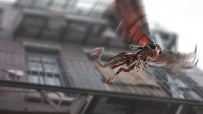 doxy creature that resembles a bug and has bettle-like wings