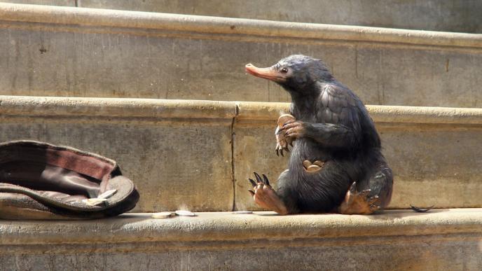concept art of the niffler sitting down and holding a coin in its claw with a pouch full of coins. there is a hat next to it with coins around