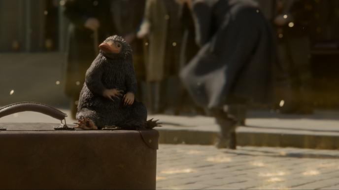 niffler sitting on a suitcase in a street