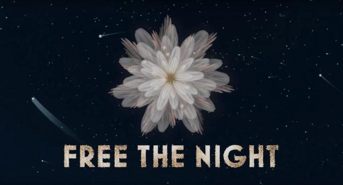 free the night text below a flower formation in the night sky