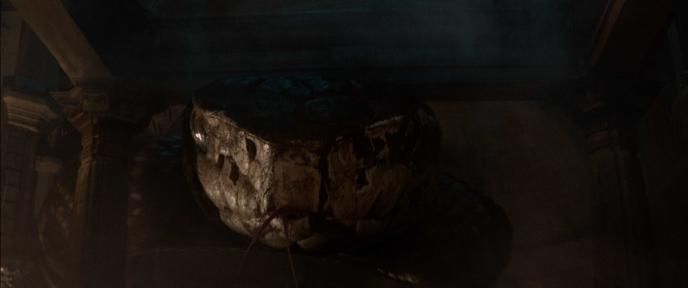 close up of the face of a giant snake
