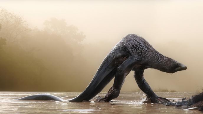 early stages concept art of a skullcrawler. it looks like a serpentine sea otter