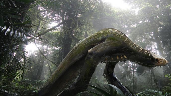 a skullcrawler in a forest