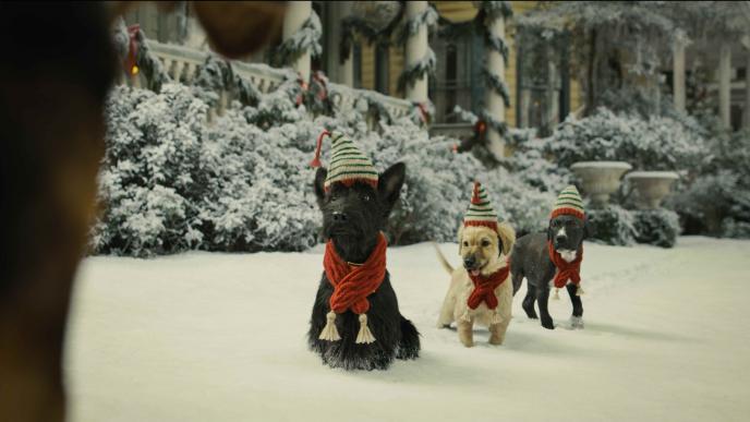 cg animated yorkie, golden retriever and staffie puppies wearing scarves and beanie hats out in the snow