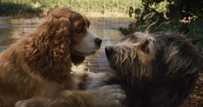 cg animated photorealistic lady the dog and tramp the dog looking at each other
